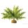 Exo Terra Boston Fern silkkikasvi