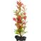 Tetra DecoArt Plantastic Red Ludwigia